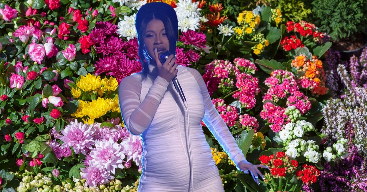 Cardi B