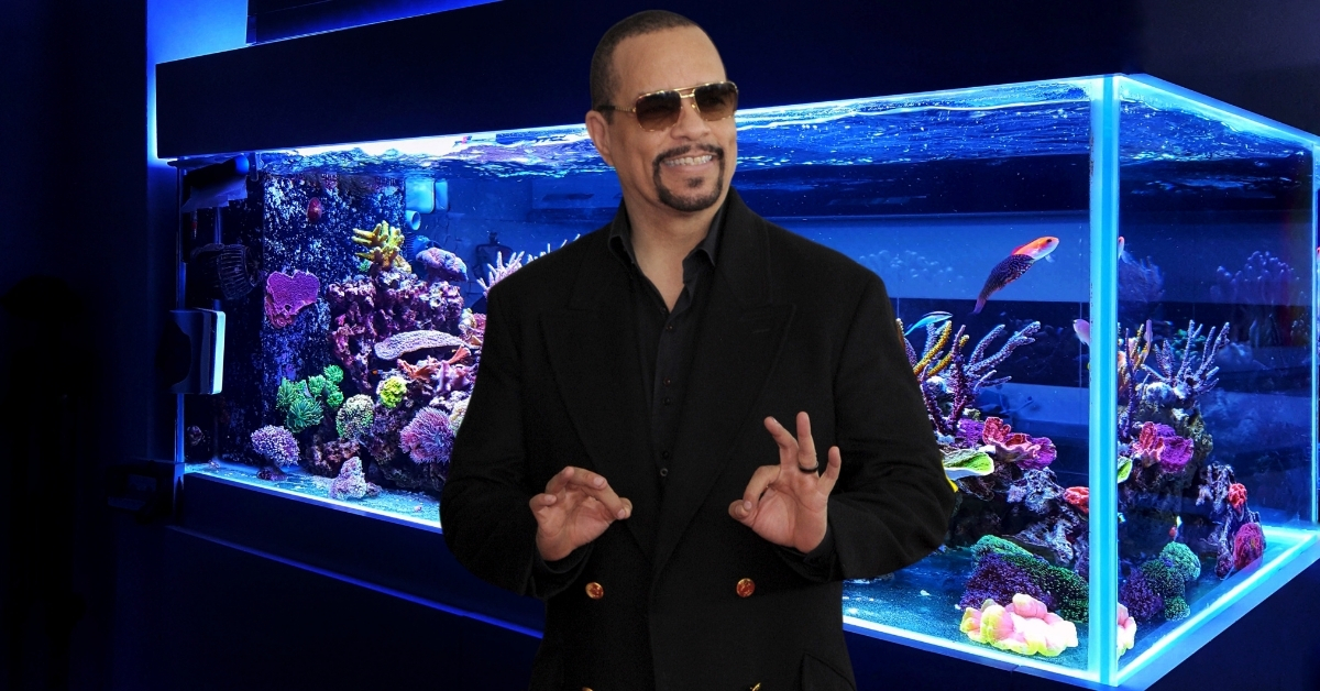 Ice-T