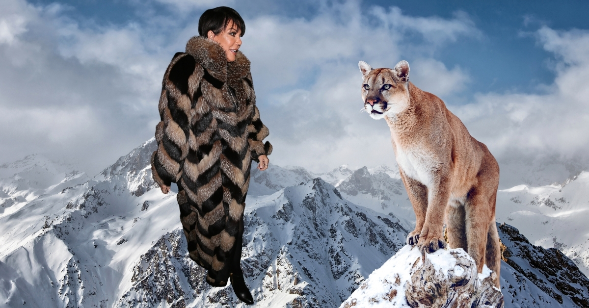 kris jenner