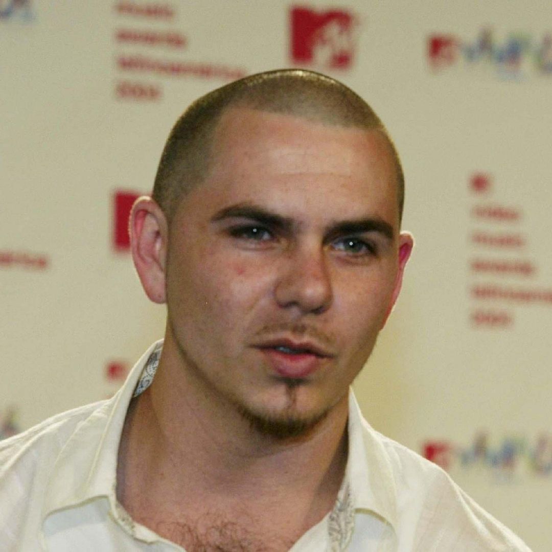 Pitbull