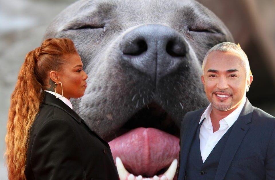 Queen Latifah and Cesar Milan