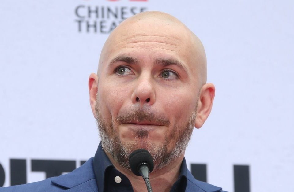 pitbull