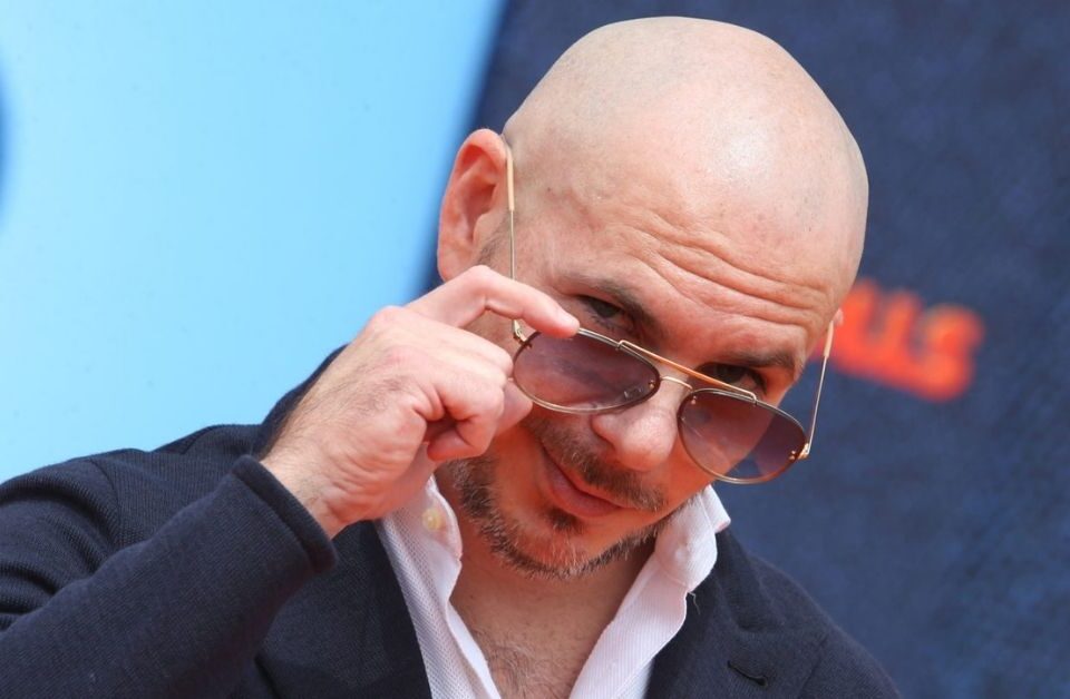 pitbull
