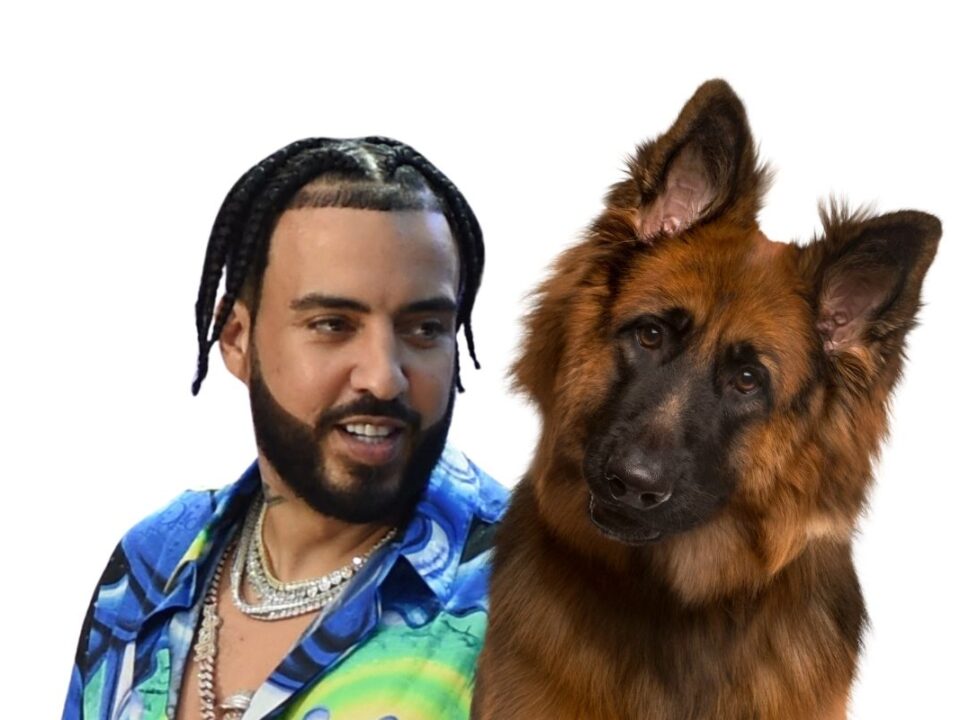 French Montana and German Shepherd
