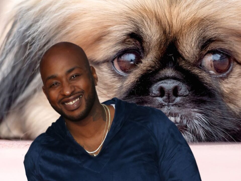 Ceaser Emanuel - Black Ink Crew