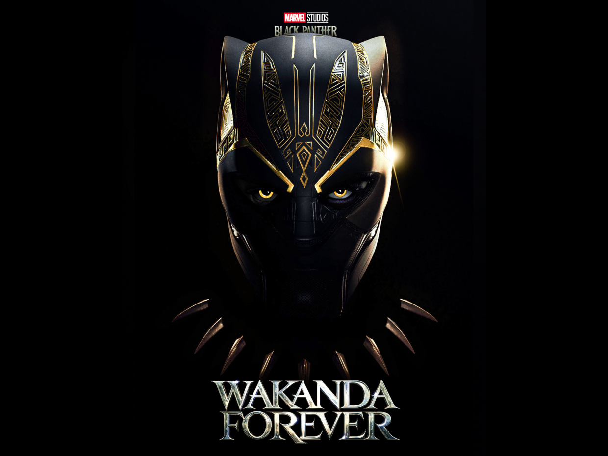Black Panther Wakanda Forever