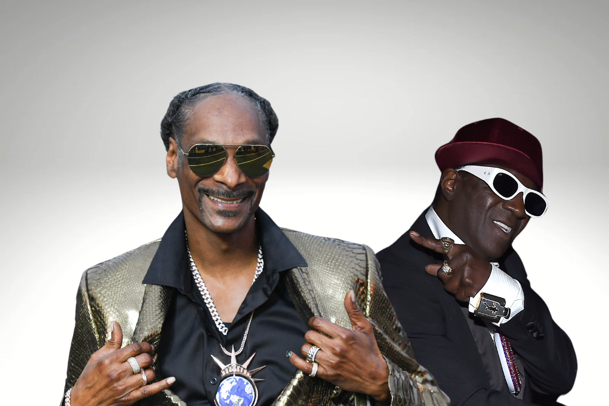 Snoop Dogg Flavor Flav