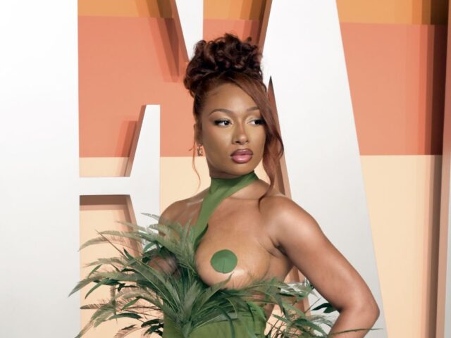 Megan Thee Stallion (4)