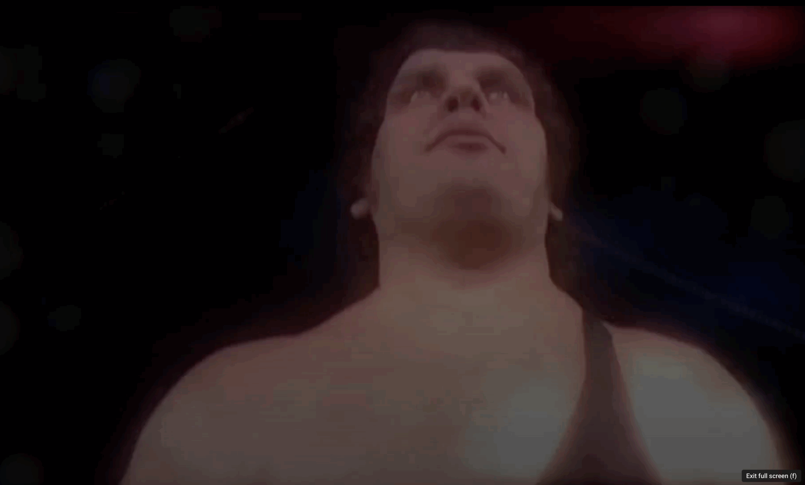 Andre The Giant